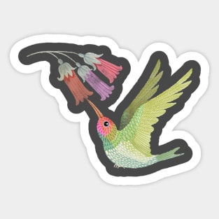 Hummingbird Sticker